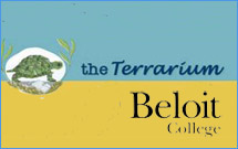 Beloit College - Terrarium