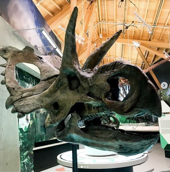 Philip J. Currie Dinosaur Museum
