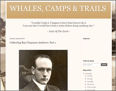 Whales, Camps & Trails | Clive Coy