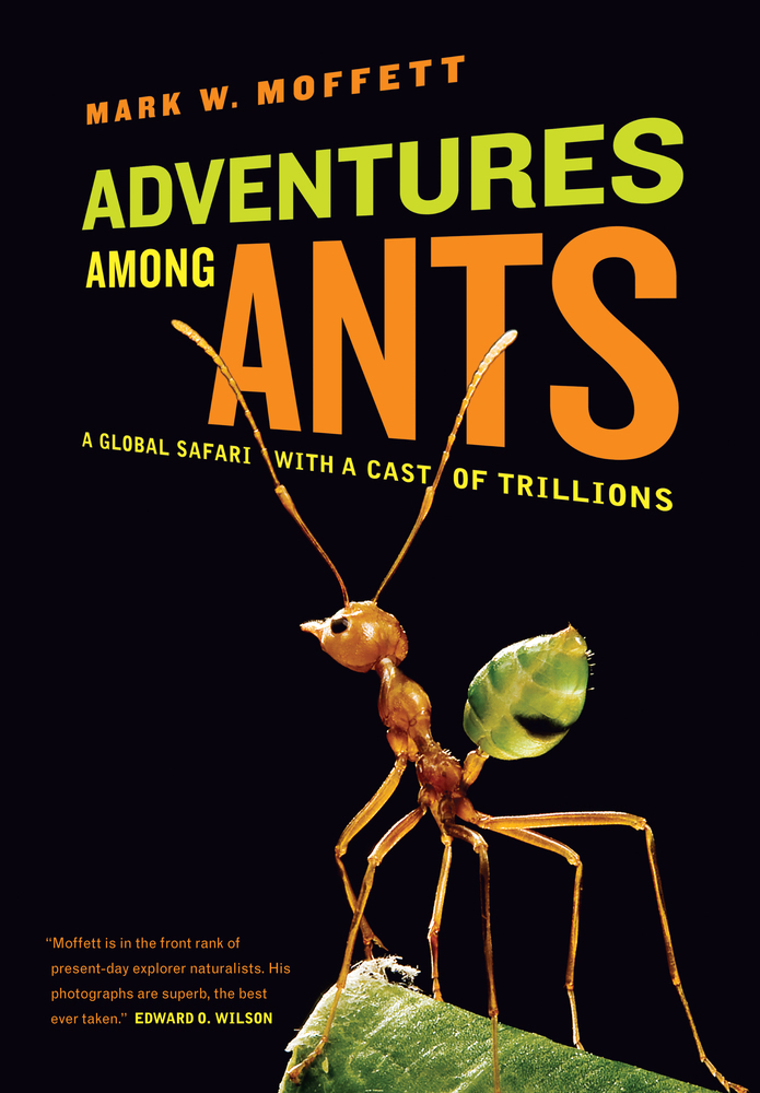 Adventures Among Ants | Mark Moffett