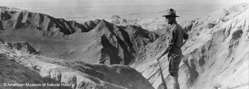 Roy Chapman Andrews | Gobi Expedition - James B. Shackelford - AMNH